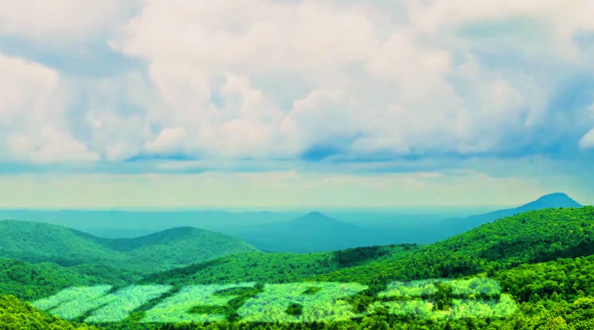 米乐m6集团形象片（中文版）