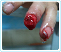 米乐|米乐·M6(中国游)官方网站