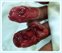 米乐|米乐·M6(中国游)官方网站