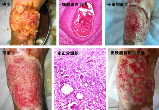米乐|米乐·M6(中国游)官方网站