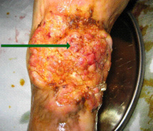 米乐|米乐·M6(中国游)官方网站