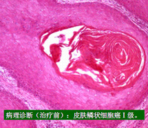 米乐|米乐·M6(中国游)官方网站