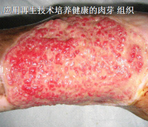 米乐|米乐·M6(中国游)官方网站