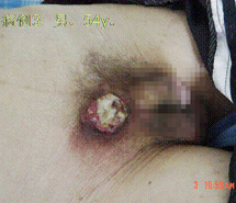 米乐|米乐·M6(中国游)官方网站