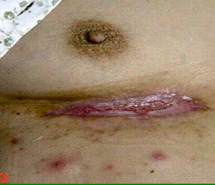 米乐|米乐·M6(中国游)官方网站