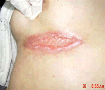 米乐|米乐·M6(中国游)官方网站