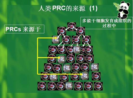 米乐|米乐·M6(中国游)官方网站