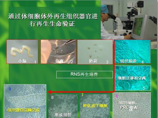 米乐|米乐·M6(中国游)官方网站