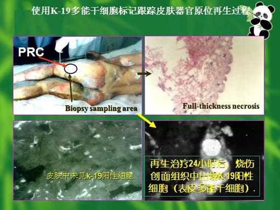 米乐|米乐·M6(中国游)官方网站