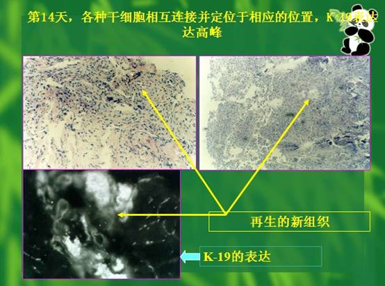 米乐|米乐·M6(中国游)官方网站