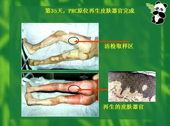 米乐|米乐·M6(中国游)官方网站