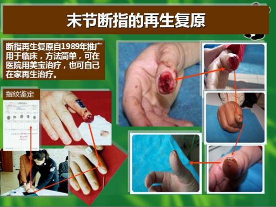 米乐|米乐·M6(中国游)官方网站