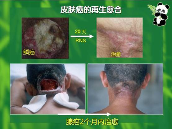 米乐|米乐·M6(中国游)官方网站