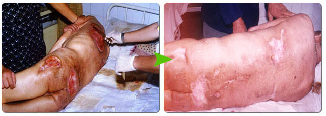 米乐|米乐·M6(中国游)官方网站