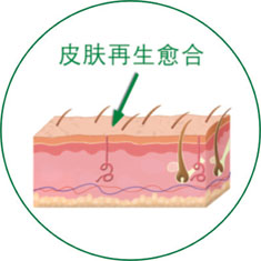 米乐|米乐·M6(中国游)官方网站
