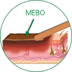 米乐|米乐·M6(中国游)官方网站