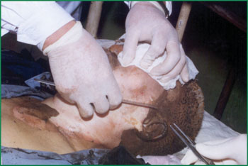 米乐|米乐·M6(中国游)官方网站