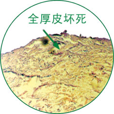 米乐|米乐·M6(中国游)官方网站