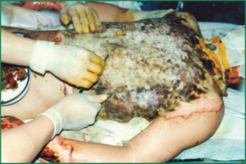 米乐|米乐·M6(中国游)官方网站