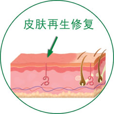米乐|米乐·M6(中国游)官方网站