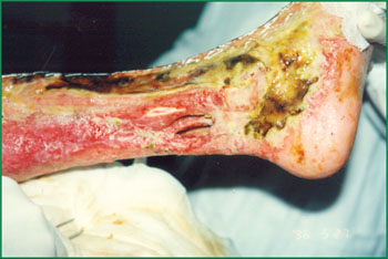 米乐|米乐·M6(中国游)官方网站