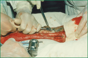 米乐|米乐·M6(中国游)官方网站