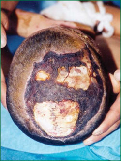 米乐|米乐·M6(中国游)官方网站