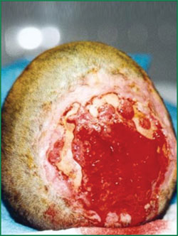 米乐|米乐·M6(中国游)官方网站