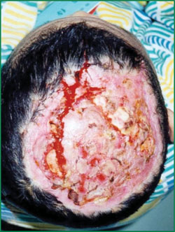 米乐|米乐·M6(中国游)官方网站