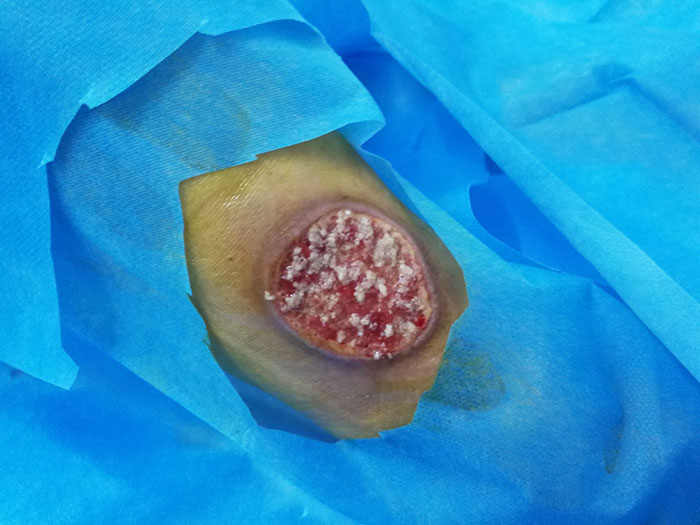 米乐|米乐·M6(中国游)官方网站