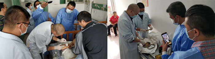 米乐|米乐·M6(中国游)官方网站