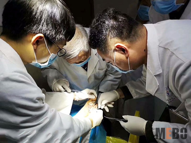 米乐|米乐·M6(中国游)官方网站