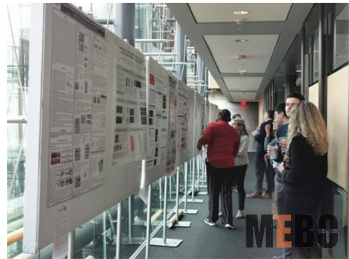 米乐|米乐·M6(中国游)官方网站