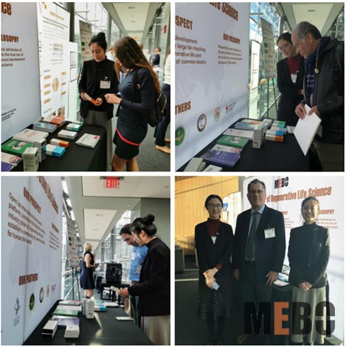 米乐|米乐·M6(中国游)官方网站