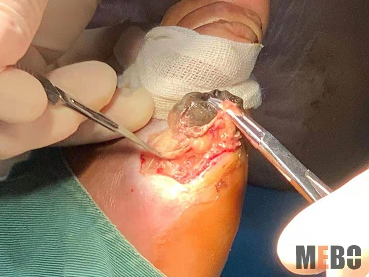 米乐|米乐·M6(中国游)官方网站