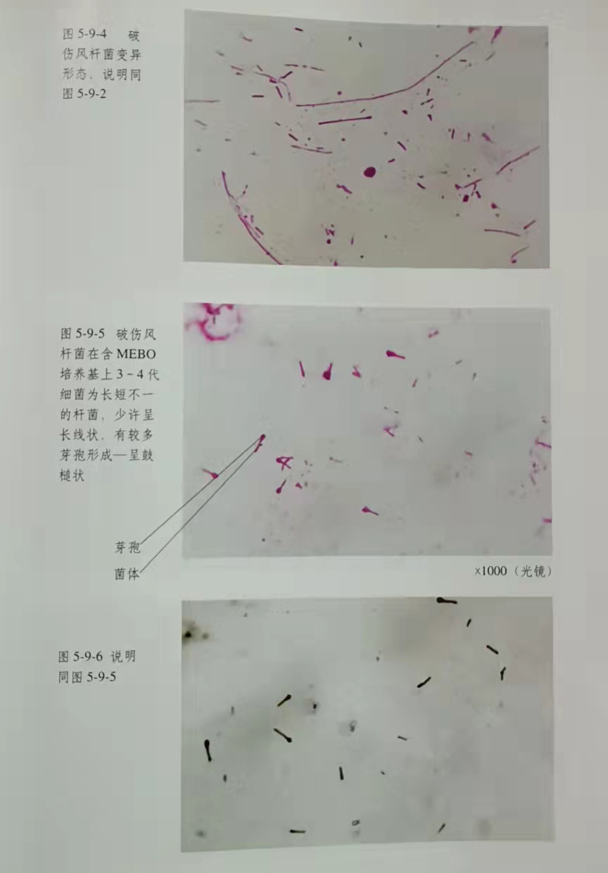 米乐|米乐·M6(中国游)官方网站