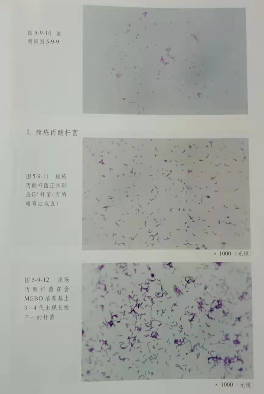 米乐|米乐·M6(中国游)官方网站