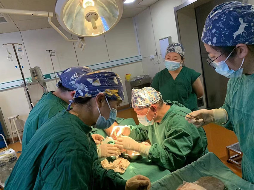 米乐|米乐·M6(中国游)官方网站