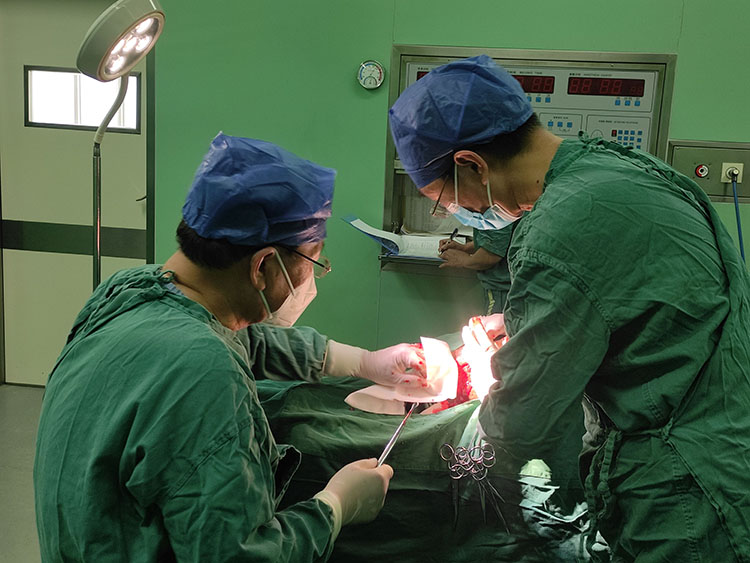 米乐|米乐·M6(中国游)官方网站