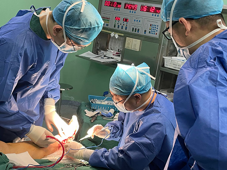 米乐|米乐·M6(中国游)官方网站