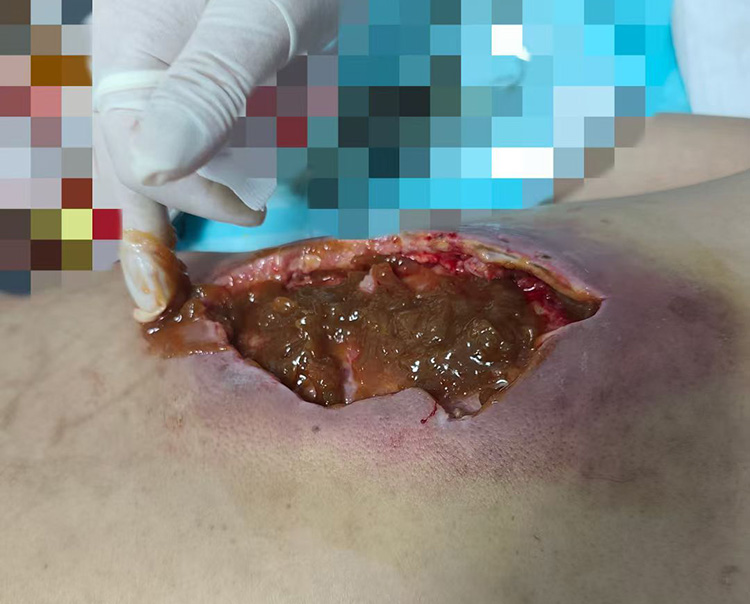 米乐|米乐·M6(中国游)官方网站