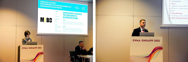 米乐|米乐·M6(中国游)官方网站