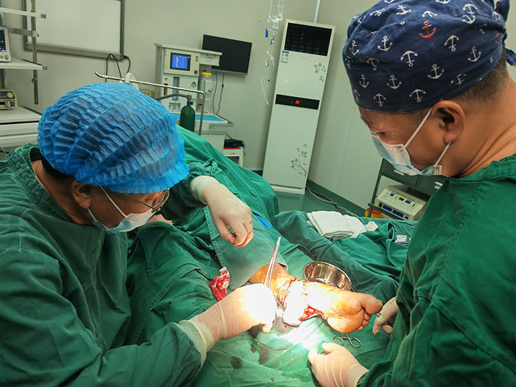 米乐|米乐·M6(中国游)官方网站