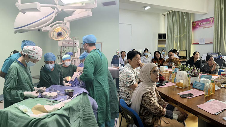 米乐|米乐·M6(中国游)官方网站