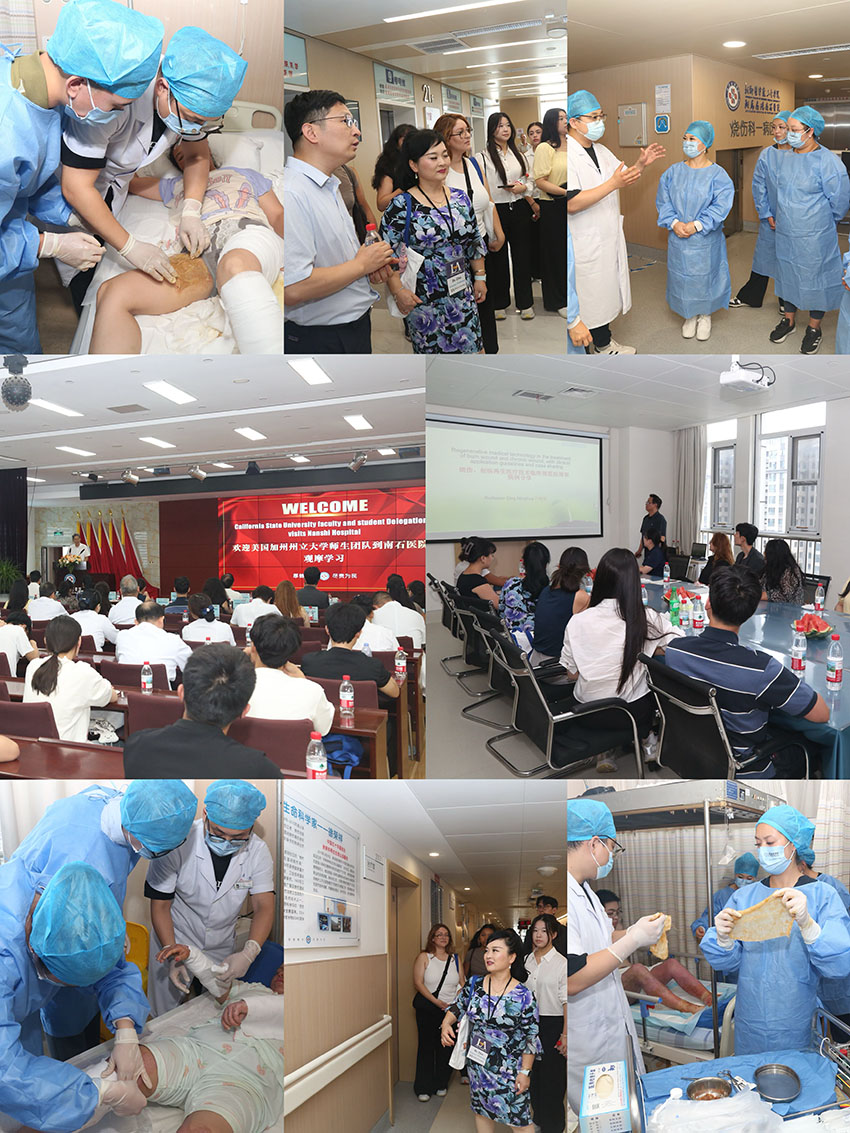 米乐|米乐·M6(中国游)官方网站