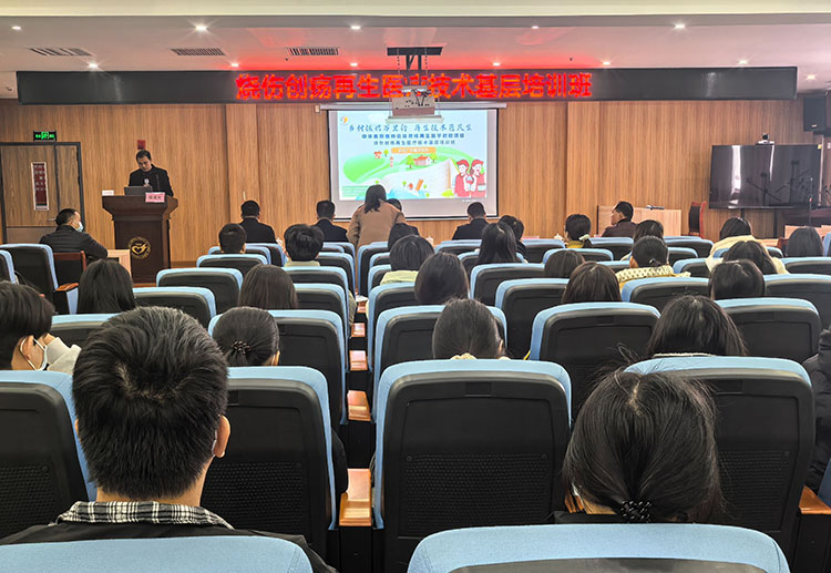 米乐|米乐·M6(中国游)官方网站