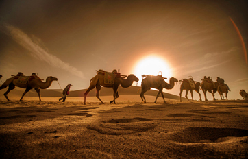 米乐m6国际 “一带一起”建议培训平台