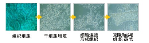 米乐|米乐·M6(中国游)官方网站