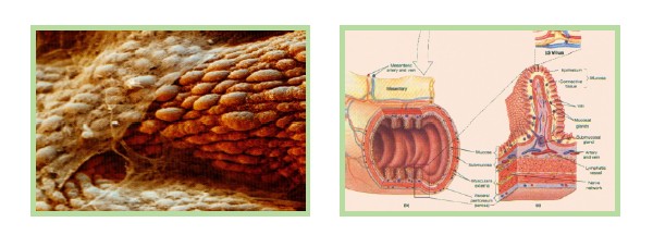 米乐|米乐·M6(中国游)官方网站