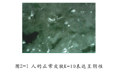 米乐|米乐·M6(中国游)官方网站